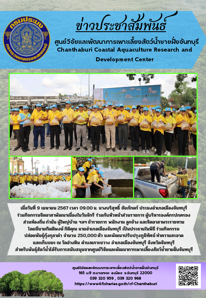 ศูนย์วิจัยและพัฒนาการเพาะเลี้ยงสัตว์น้ำชายฝั่งจันทบุรี ร่วมสนับสนุนพันธุ์สัตว์น้ำปล่อยสู่ธรรมชาติ ในกิจกรรมจิตอาสาพัฒนาเนื่องในวันจักรี..คลิก