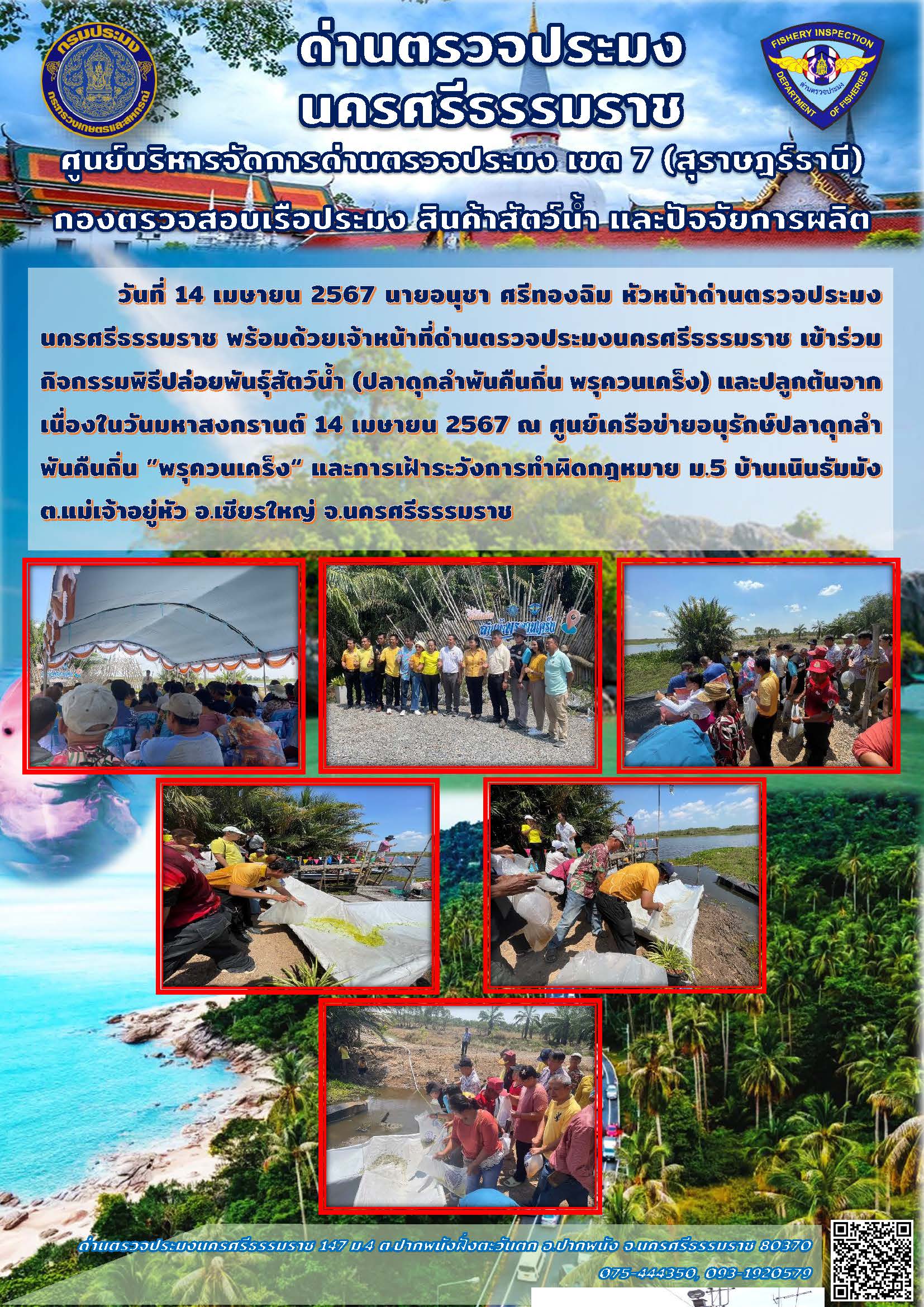 วันที่ 14 เม.ย. 67 นายอนุชา ศรีทองฉิม หัวหน้าด่านตรวจประมงนครศรีธรรมราช พร้อมด้วยเจ้าหน้าที่ด่านตรวจประมงนครศรีธรรมราช เข้าร่วมกิจกรรมพิธีปล่อยพันธ์ุสัตว์น้ำ ณ ศูนย์เครือข่ายอนุรักษ์ปลาดุกลำพันคืนถิ่น ”พรุควนเคร็ง“ และการเฝ้าระวังการทำผิดกฎหมาย..คลิก
