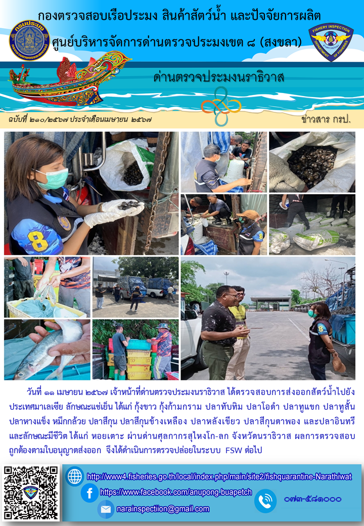 ประชาสัมพันธ์ด่านตรวจประมงนราธิวาส ประจำวันที่ 11 เมษายน 2567..คลิก