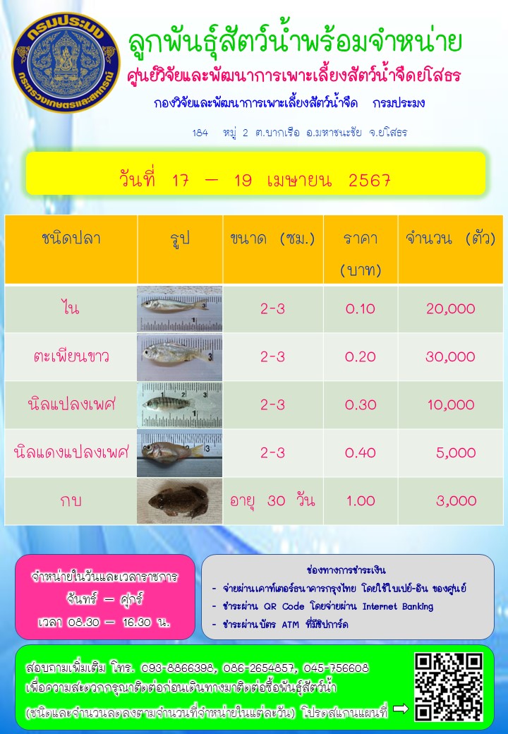 ลูกพันธุ์สัตว์น้ำพร้อมจำหน่าย 17 - 19 เม.ย. 2567..คลิก