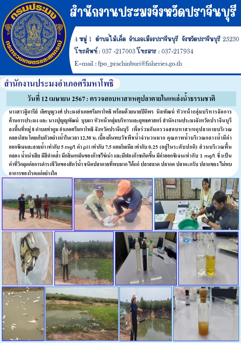 ข่าวประชาสัมพันธ์ สำนักงานประมงอำเภอศรีมหาโพธิ ลงพื้นที่หมู่ 8 ตำบลท่าตูม อำเภอศรีมหาโพธิ จังหวัดปราจีนบุรี เพื่อร่วมกันตรวจสอบหาสาเหตุปลาตายบริเวณ คลองโสม..คลิก