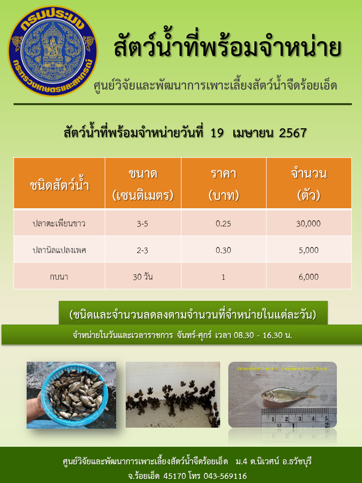 สัตว์น้ำที่พร้อมจำหน่ายวันที่ 19  เมษายน 2567..คลิก
