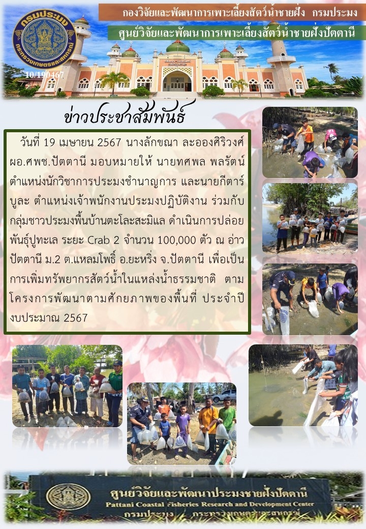 กิจกรรมปล่อยพันธุ์ปูทะเล จำนวน 100,000 ตัว  บริเวณอ่าวปัตตานี ม.2 ต.แหลมโพธิ์ อ.ยะหริ่ง  จ.ปัตตานี..คลิก