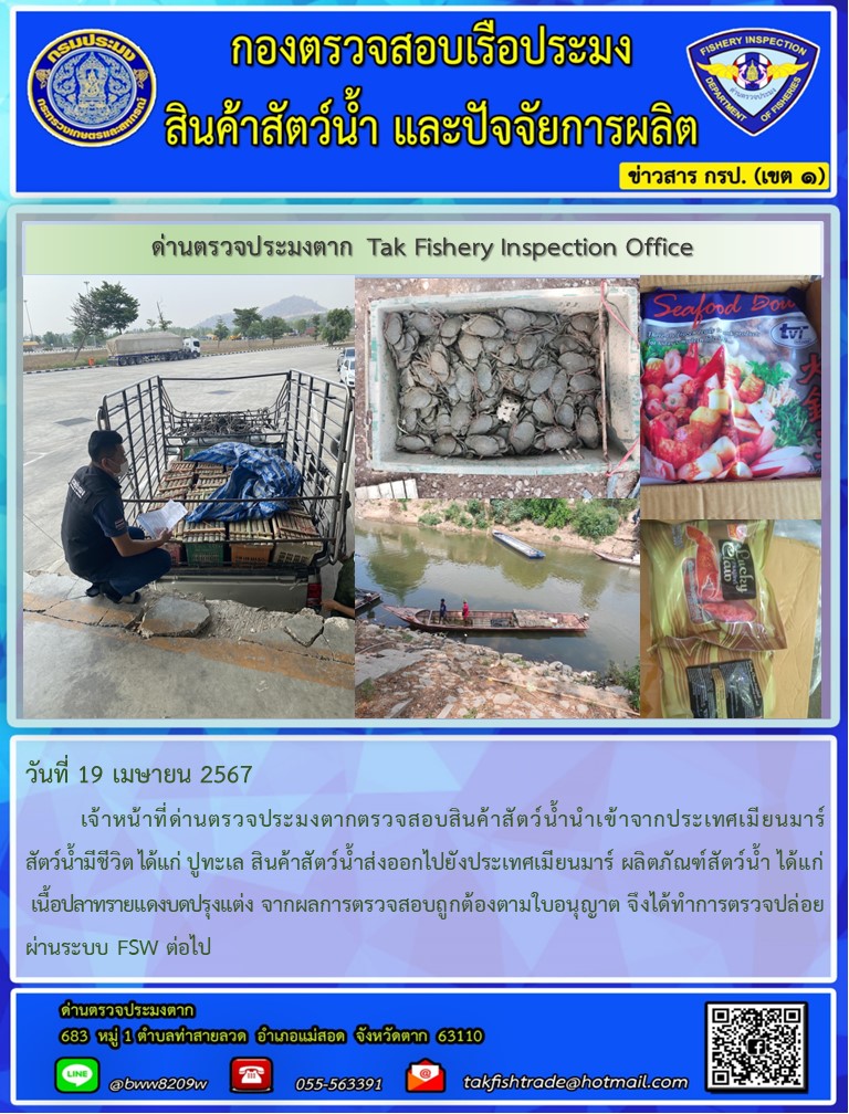 วันที่ 19 เมษายน 2567           เจ้าหน้าที่ด่านตรวจประมงตากตรวจสอบสินค้าสัตว์น้ำนำเข้าจากประเทศเมียนมาร์ สัตว์น้ำมีชีวิต ได้แก่ ปูทะเล สินค้าสัตว์น้ำส่งออกไปยังประเทศเมียนมาร์ ผลิตภัณฑ์สัตว์น้ำ ได้แก่ เนื้อปลาทรายแดงบดปรุงแต่ง จากผลการตรวจสอบถูกต้องตามใบอนุญาต จึงได้ทำการตรวจปล่อยผ่านระบบ FSW ต่อไป..คลิก