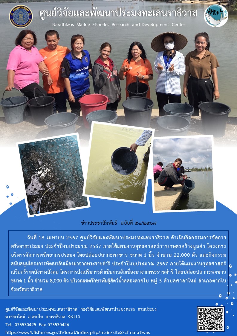 ศูนย์วิจัยและพัฒนาประมงทะเลนราธิวาส ดำเนินกิจกรรมการจัดการทรัพยากรประมง ประจำปีงบประมาณ 2567 ภายใต้แผนงานยุทธศาสตร์การเกษตรสร้างมูลค่า โครงการบริหารจัดการทรัพยากรประมง  และกิจกรรมสนับสนุนโครงการพัฒนาอันเนื่องมาจากพระราชดำริ ประจำปีงบประมาณ 2567 ภายใต้แผนงานยุทธศาสตร์เสริมสร้างพลังทางสังคม โครงการส่งเสริมการดำเนินงานอันเนื่องมาจากพระราชดำริ..คลิก