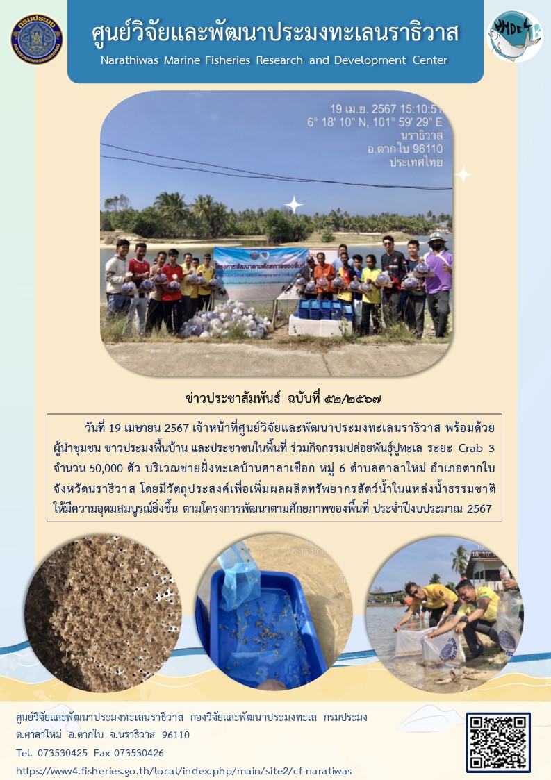 เจ้าหน้าที่ศูนย์วิจัยและพัฒนาประมงทะเลนราธิวาส พร้อมด้วยผู้นำชุมชน ชาวประมงพื้นบ้าน และประชาชนในพื้นที่ ร่วมกิจกรรมปล่อยพันธุ์ปูทะเล ระยะ Crab 3 จำนวน 50,000 ตัว..คลิก