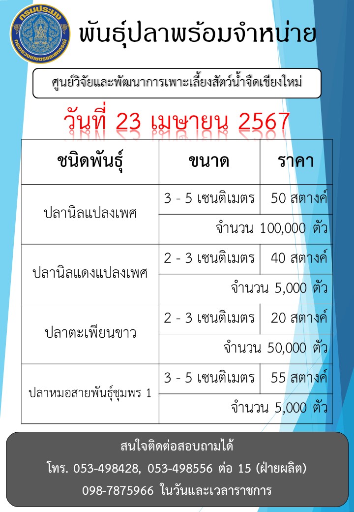 พันธุ์ปลาพร้อมจำหน่าย วันที่ 23 เมษายน 2567