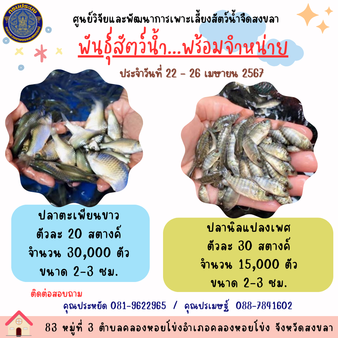 พันธุ์สัตว์น้ำพร้อมจำหน่าย