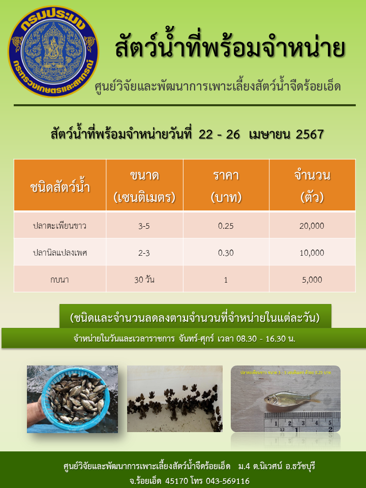 สัตว์น้ำที่พร้อมจำหน่ายวันที่ 22 - 26  เมษายน 2567..คลิก