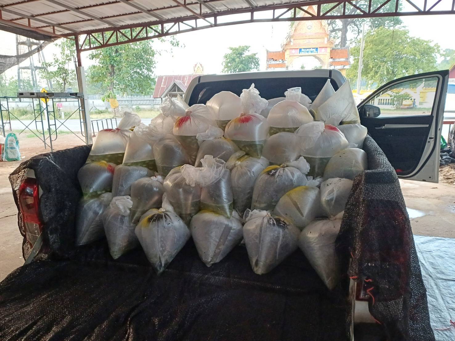 21 เมษายน 2567 ด่านตรวจประมงมุกดาหาร ตรวจสอบสินค้าประมงส่งออกไปยัง สปป. ลาว ณ สะพานมิตรภาพไทย - ลาว แห่งที่ 2 จังหวัดมุกดาหาร..คลิก