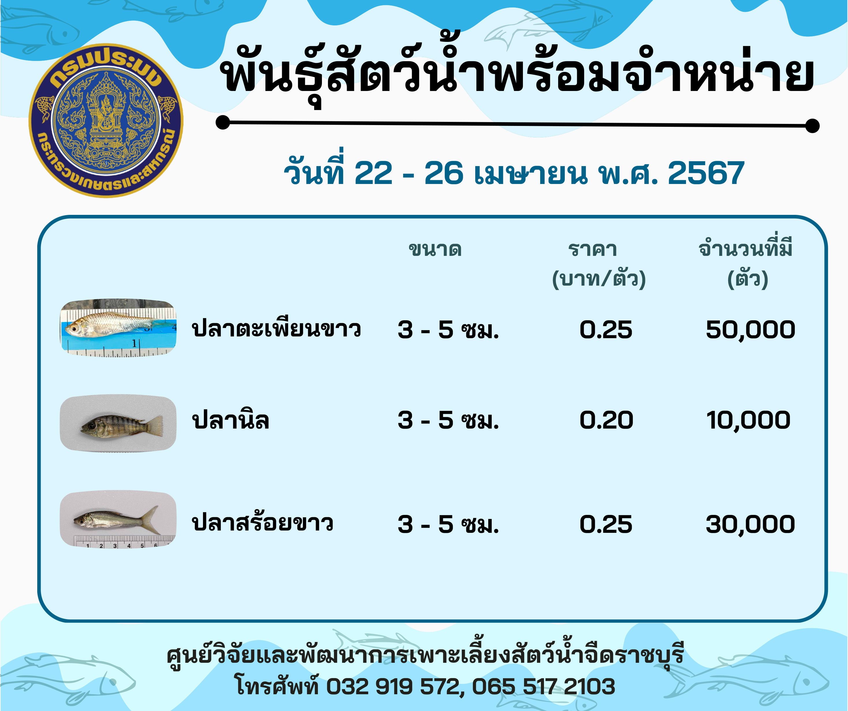 ลูกพันธุ์สัตว์น้ำพร้อมจำหน่ายสัปดาห์นี้ วันที่ 22 - 26 เมษายน พ.ศ. 2567..คลิก