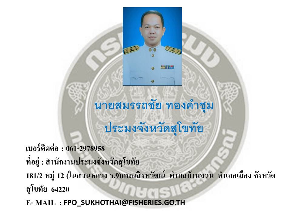 ข้อมูลผู้บริหาร
