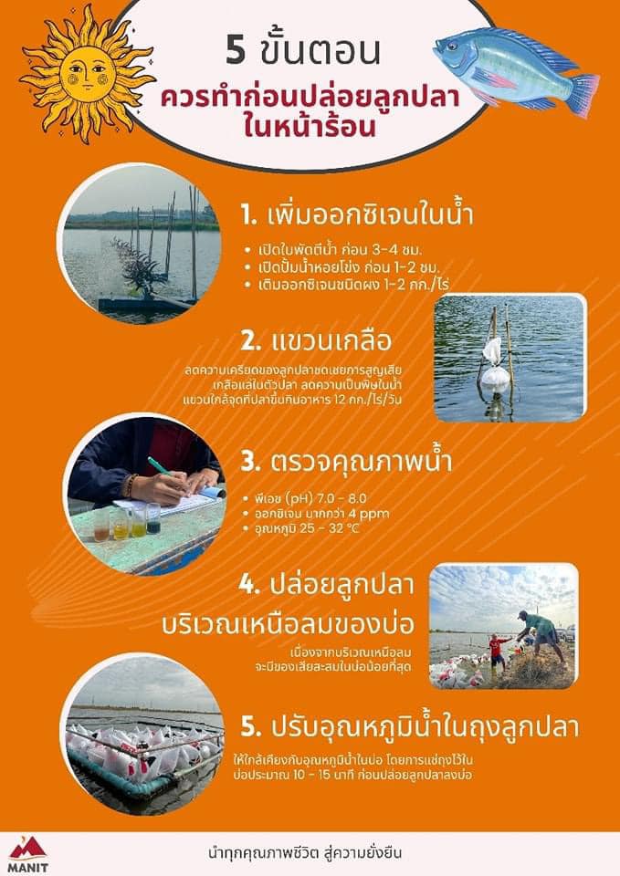 5 ขั้นตอน ก่อนปล่อยลูกปลาในหน้าร้อนนนน !!!