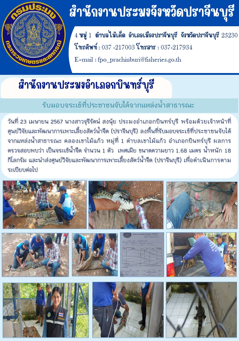 ข่าวประชาสัมพันธ์ สำนักงานประมงอำเภอกบินทร์บุรี  ลงพื้นที่รับมอบจระเข้ที่ประชาชนจับได้ จากแหล่งน้ำสาธารณะ คลองเขาไม้แก้ว หมู่ที่ 1 ตำบลเขาไม้แก้ว อำเภอกบินทร์บุรี..คลิก