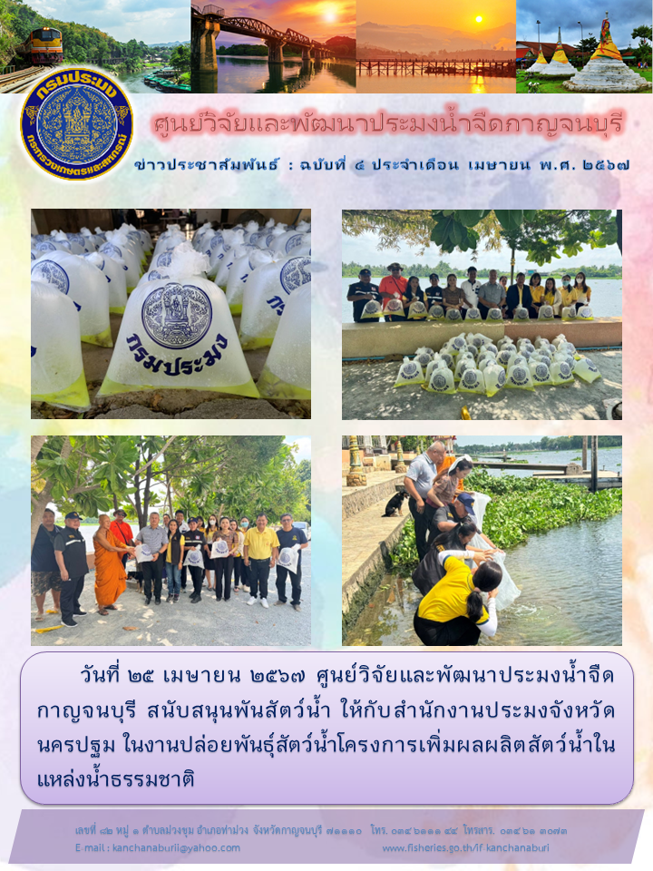 ศูนย์วิจัยและพัฒนาประมงน้ำจืดกาญจนบุรี สนับสนุนพันธุ์สัตว์น้ำ ให้กับสำนักงานประมงจังหวัดนครปฐม..คลิก