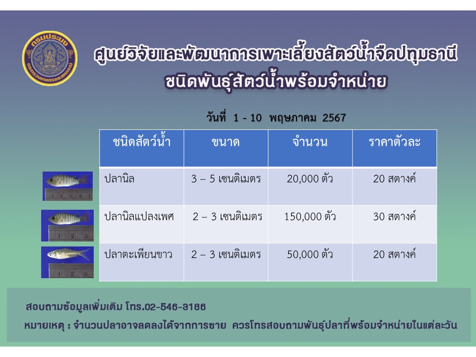 พันธุ์สัตว์น้ำพร้อมจำหน่าย วันที่ 1 - 10 พฤษภาคม 2567..คลิก