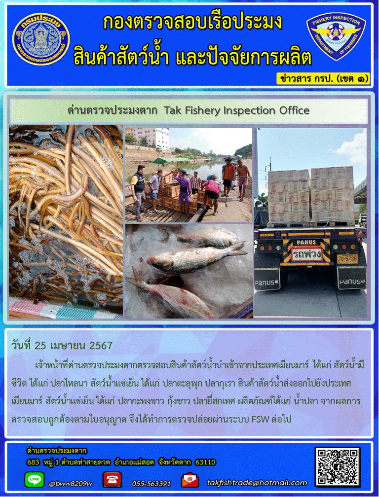 วันที่ 26 เมษายน 2567           เจ้าหน้าที่ด่านตรวจประมงตากตรวจสอบสินค้าสัตว์น้ำนำเข้าจากประเทศเมียนมาร์ ได้แก่ สัตว์น้ำมีชีวิต ได้แก่ ปลาไหลนา สัตว์น้ำแช่เย็น ได้แก่ ปลาตะลุพุก ปลากุเรา สินค้าสัตว์น้ำส่งออกไปยังประเทศเมียนมาร์ สัตว์น้ำแช่เย็น ได้แก่ ปลากะพงขาว กุ้งขาว ปลายี่สกเทศ ผลิตภัณฑ์ได้แก่ น้ำปลา จากผลการตรวจสอบถูกต้องตามใบอนุญาต จึงได้ทำการตรวจปล่อยผ่านระบบ FSW ต่อไป..คลิก