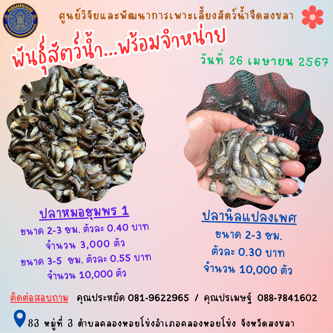 พันธุ์สัตว์น้ำพร้อมจำหน่าย