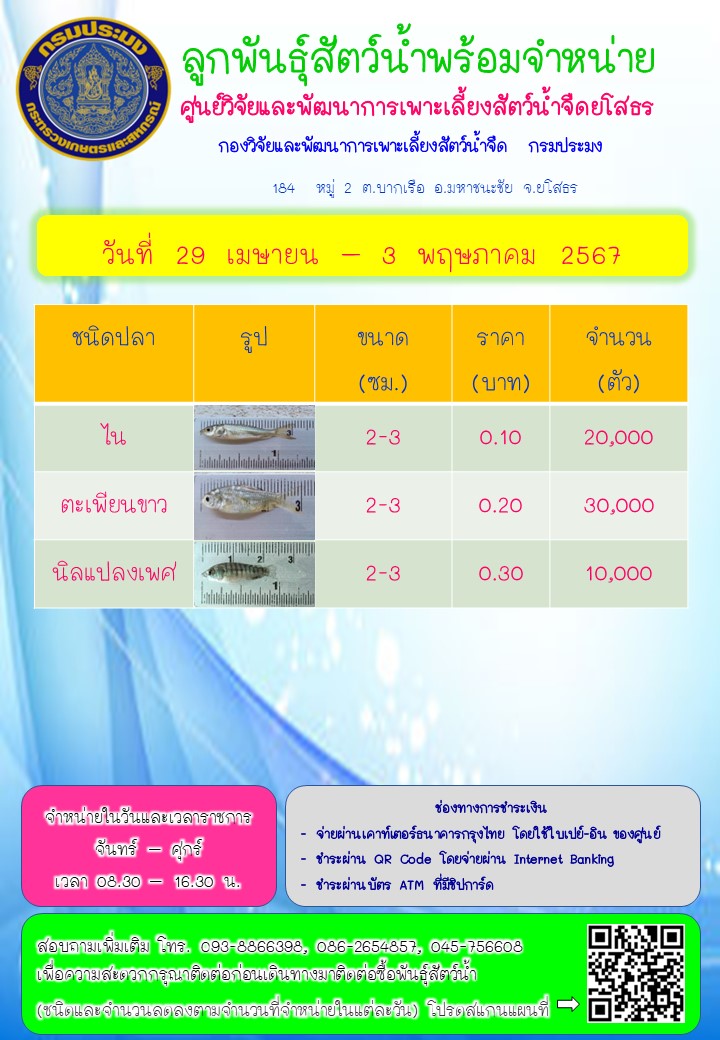 ลูกพันธุ์สัตว์น้ำพร้อมจำหน่าย 29 เม.ย. - 3 พ.ค. 2567..คลิก