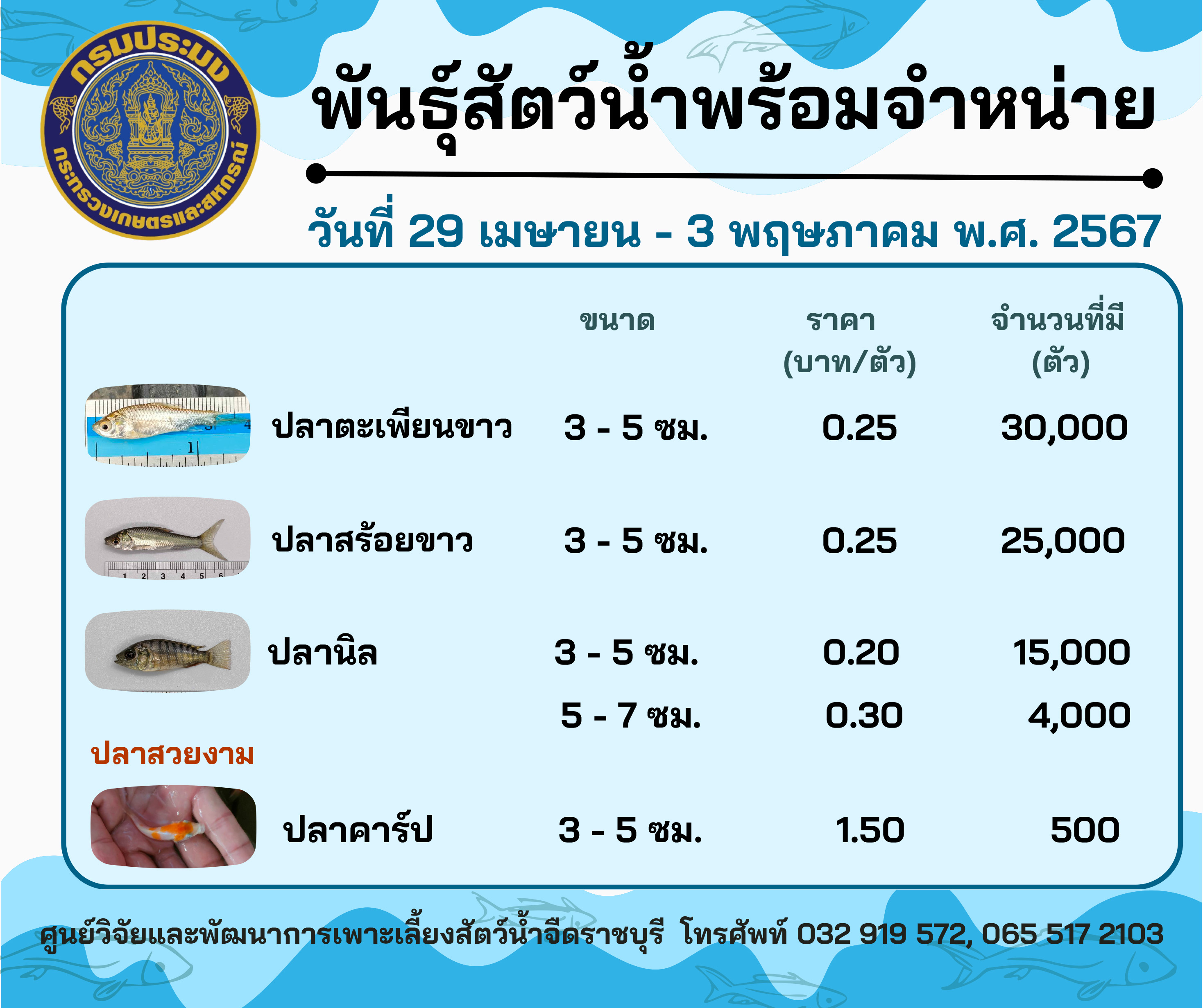 ลูกพันธุ์สัตว์น้ำพร้อมจำหน่ายสัปดาห์นี้ วันที่ 29 เมษายน - 3 พฤษภาคม พ.ศ. 2567