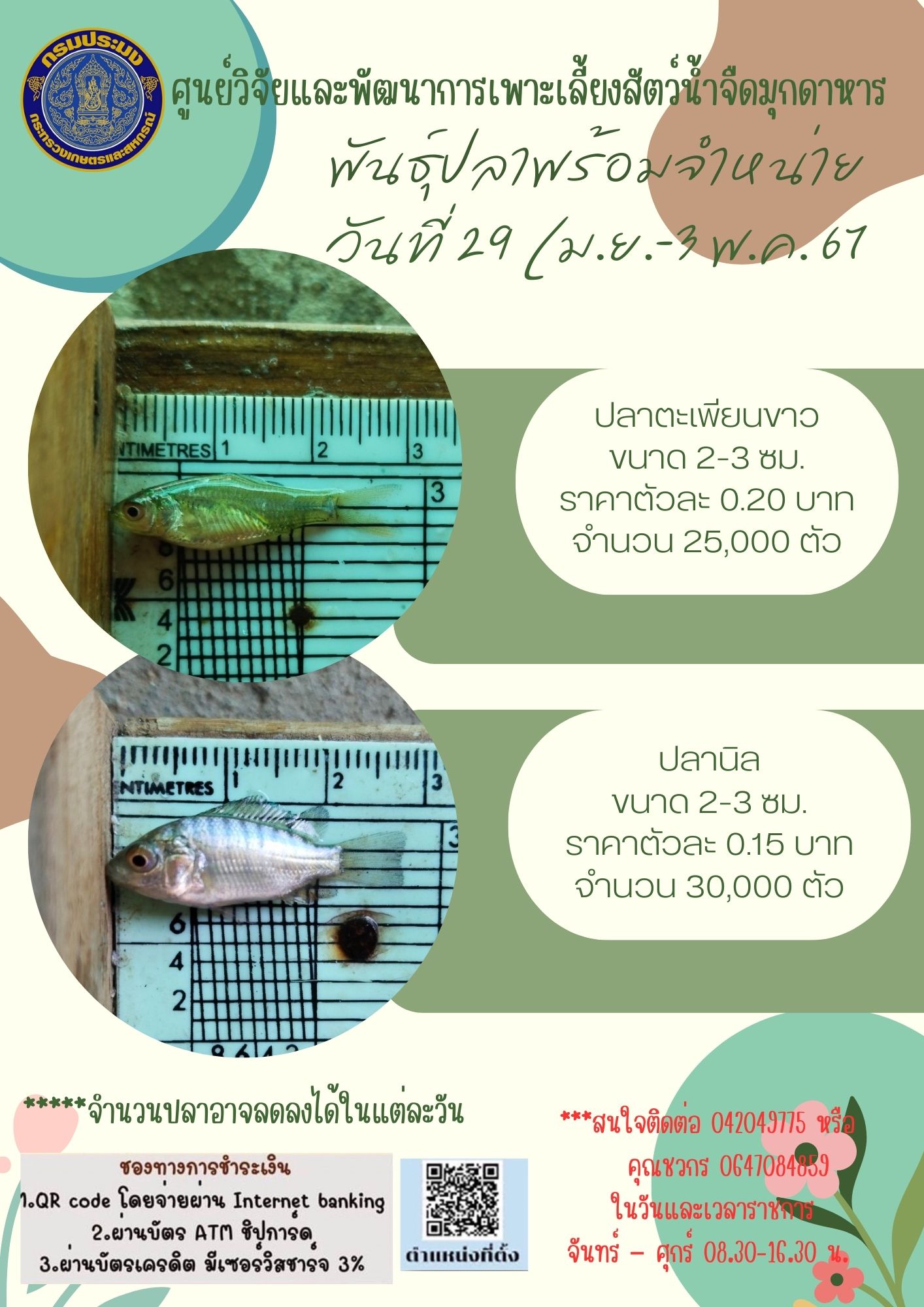 ลูกพันธุ์สัตว์น้ำพร้อมจำหน่าย 29 เมษายน - 3 พฤษภาคม 2567..คลิก