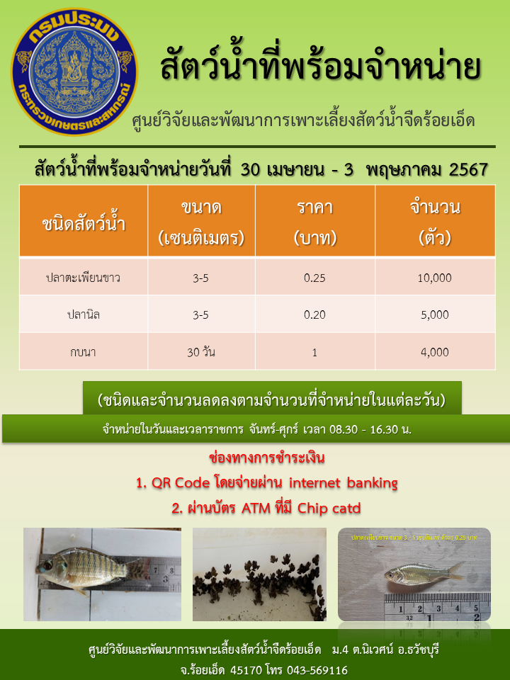 สัตว์น้ำที่พร้อมจำหน่ายวันที่ 30 เมษายน - 3  พฤษภาคม 2567..คลิก