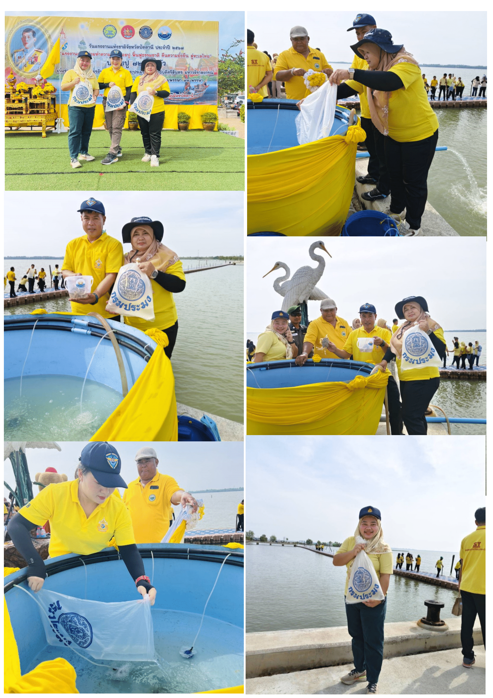 วันอังคารที่ 30 เมษายน 2567 เจ้าหน้าที่ด่านตรวจประมงปัตตานี ได้เข้าร่วมกิจกรรม“แรงงานตานี ร่วมทำความดี ปล่อยปู ฟื้นฟูธรรมชาติ คืนความยั่งยืน สู่ทะเลไทย”..คลิก