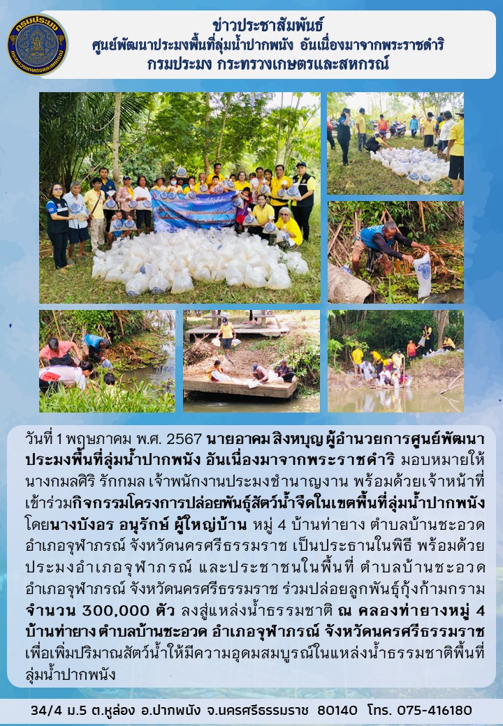 ปล่อยลูกพันธุ์กุ้งก้ามกราม จำนวน 300,000 ตัว ลงสู่แหล่งน้ำธรรมชาติ ณ คลองท่ายาง  อำเภอจุฬาภรณ์ จังหวัดนครศรีธรรมราช เพื่อเพิ่มปริมาณสัตว์น้ำให้มีความอุดมสมบูรณ์ในแหล่งน้ำธรรมชาติพื้นที่ลุ่มน้ำปากพนัง..คลิก
