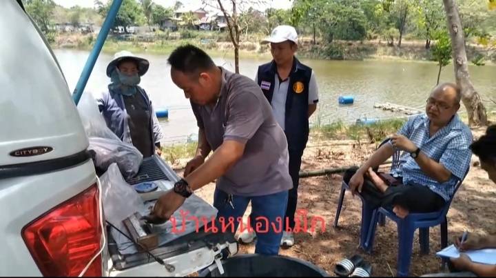 นายสมจิตร์ พงษ์ภุมมา หัวหน้ากลุ่มบริหารจัดการด้านการประมง นายวิทยา ประเสริฐสังข์ ประมงอำเภอโนนสัง ร่วมกับศูนย์วิจัยและพัฒนาการเพาะเลี้ยงสัตว์น้ำจืดอุดรธานี และคณะกรรมการโครงการธนาคารสินค้าเกษตร (กิจกรรมสนับสนุนธนาคารผลผลิตสัตว์น้ำแบบมีส่วนร่วม) ประจำปี 2567