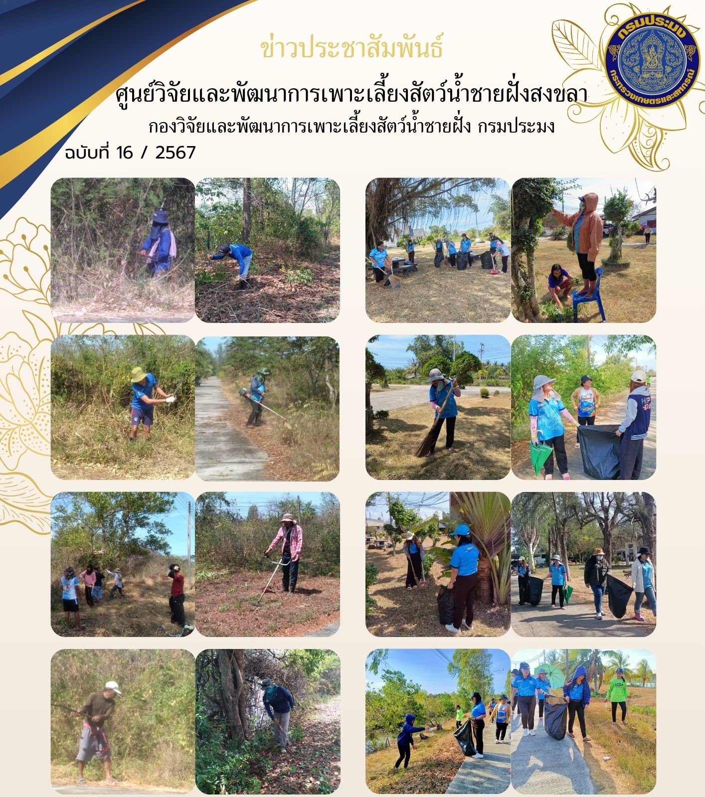 เมื่อวันที่ 1 พฤษภาคม 2567 นางสาวปริศนา คลิ้งสุขคล้าย ผู้อำนวยการศูนย์วิจัยและพัฒนาการเพาะเลี้ยงสัตว์น้ำชายฝั่งสงขลา พร้อมด้วยข้าราชการและเจ้าหน้าที่ของศูนย์ฯ ร่วมกันทำกิจกรรม Big Cleaning Day เพื่อเฉลิมพระเกียรติพระบาทสมเด็จพระเจ้าอยู่หัว เนื่องในโอกาสมหามงคลเฉลิมพระชนมพรรษา 6 รอบ 28 กรกฎาคม 2567..คลิก