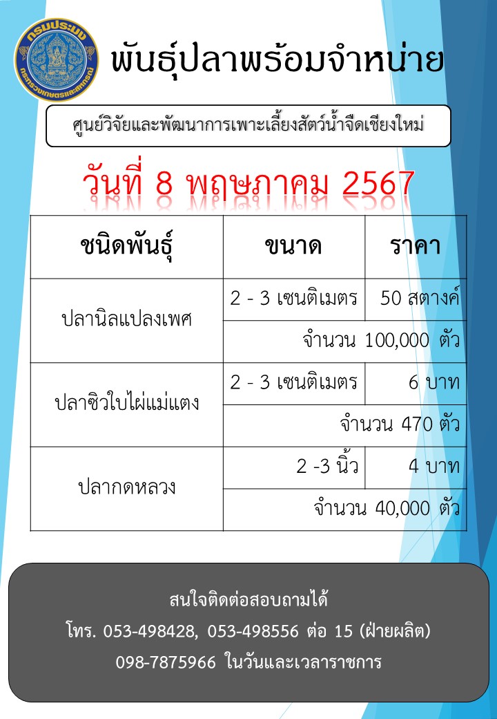พันธุ์ปลาพร้อมจำหน่าย วันที่ 8 พฤษภาคม 2567