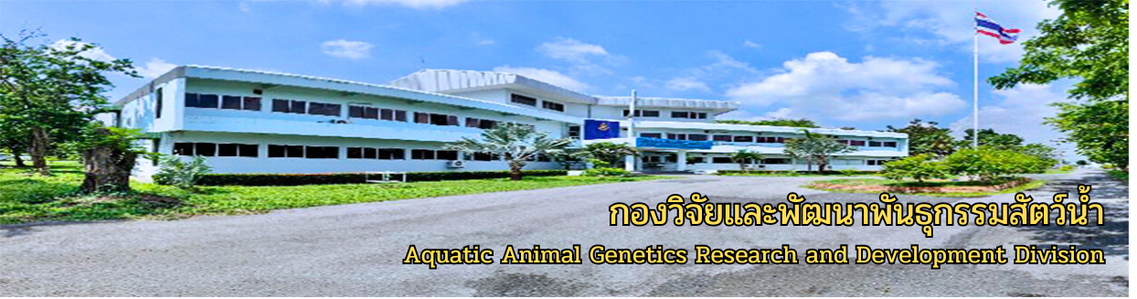 แบนเนอร์กอง 2