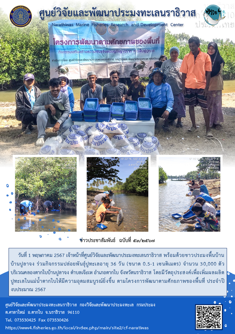 เจ้าหน้าที่ศูนย์วิจัยและพัฒนาประมงทะเลนราธิวาส พร้อมด้วยชาวประมงพื้นบ้าน บ้านปูลาจง ร่วมกิจกรรมปล่อยพันธุ์ปูทะเลตัวเต็มวัย (ระยะ Crab 3)..คลิก