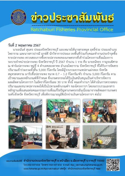 ลงพื้นที่ร่วมกับคณะทำงานประจำจุดซื้อขายปลากะพง ตรวจสอบการซื้อขายปลากะพงของเกษตรกรที่เข้าร่วมโครงการเชื่อมโยงการระบายจำหน่ายปลากะพง จังหวัดราชบุรี ปี 2567