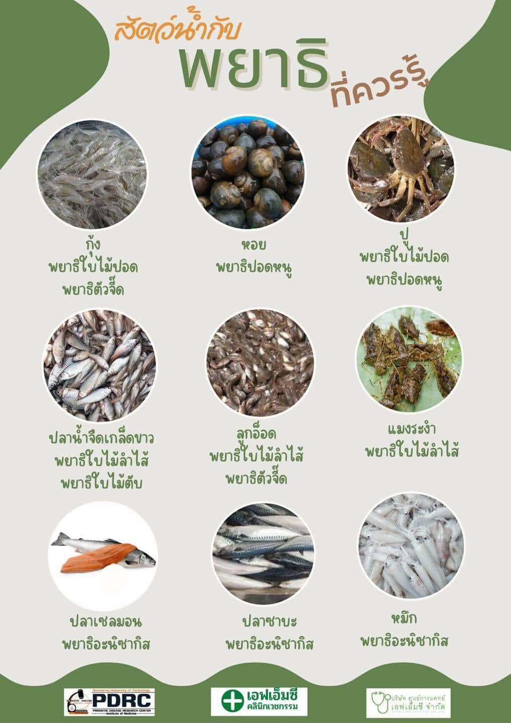 โรคพยาธิที่เกิดจากการบริโภคสัตว์น้ำที่ปรุงสุกๆดิบๆ