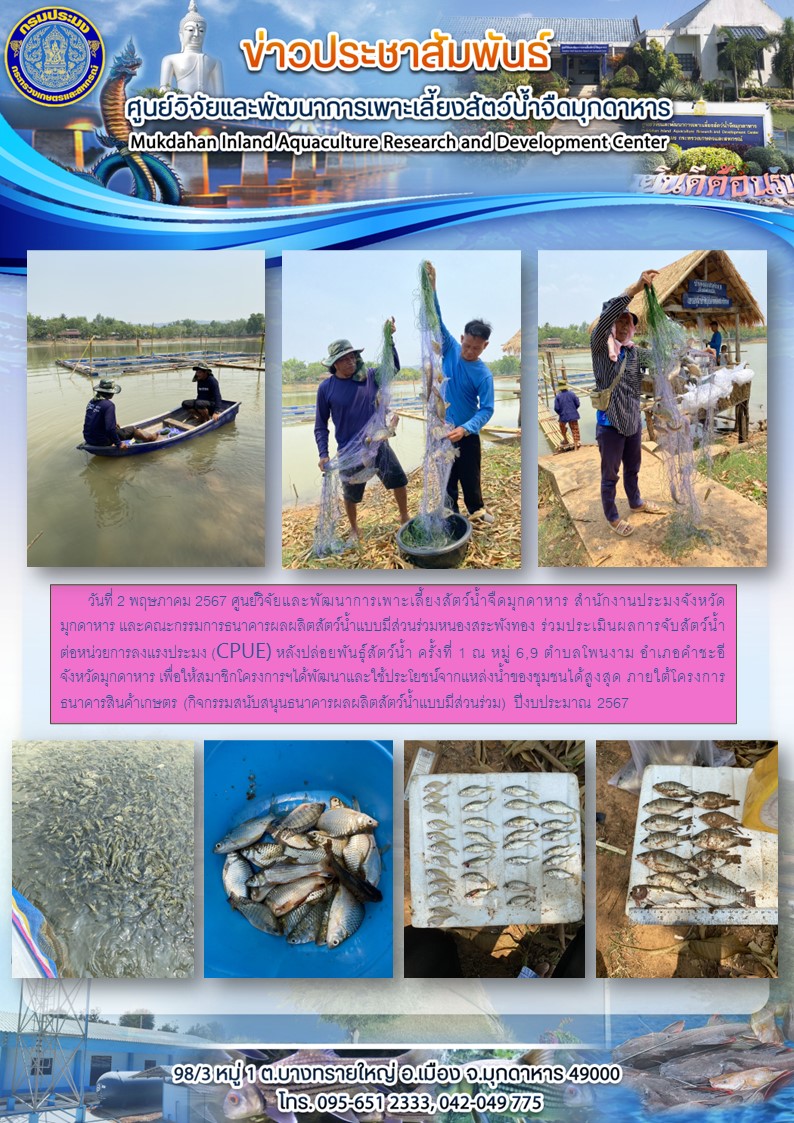 วันที่ 2 พฤษภาคม 2567 คณะกรรมการธนาคารผลผลิตสัตว์น้ำแบบมีส่วนร่วมหนองสระพังทอง ร่วมประเมินผลการจับสัตว์น้ำต่อหน่วยการลงแรงประมง (CPUE) หลังปล่อยพันธุ์สัตว์น้ำ ครั้งที่ 1 ณ หมู่ 6,9 ตำบลโพนงาม อำเภอคำชะอี จังหวัดมุกดาหาร..คลิก