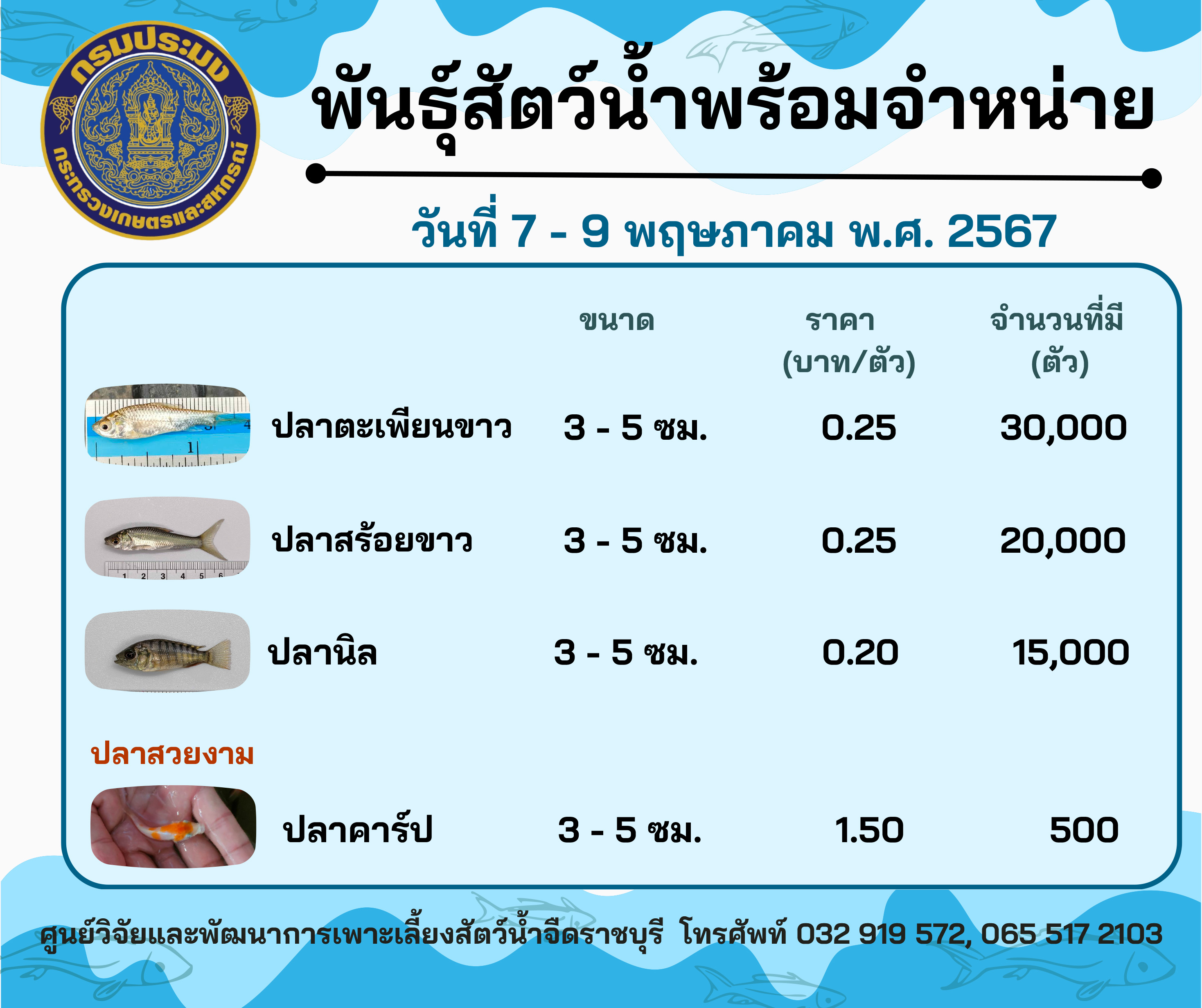 ลูกพันธุ์สัตว์น้ำพร้อมจำหน่ายสัปดาห์นี้ วันที่ 7 - 9 พฤษภาคม พ.ศ. 2567