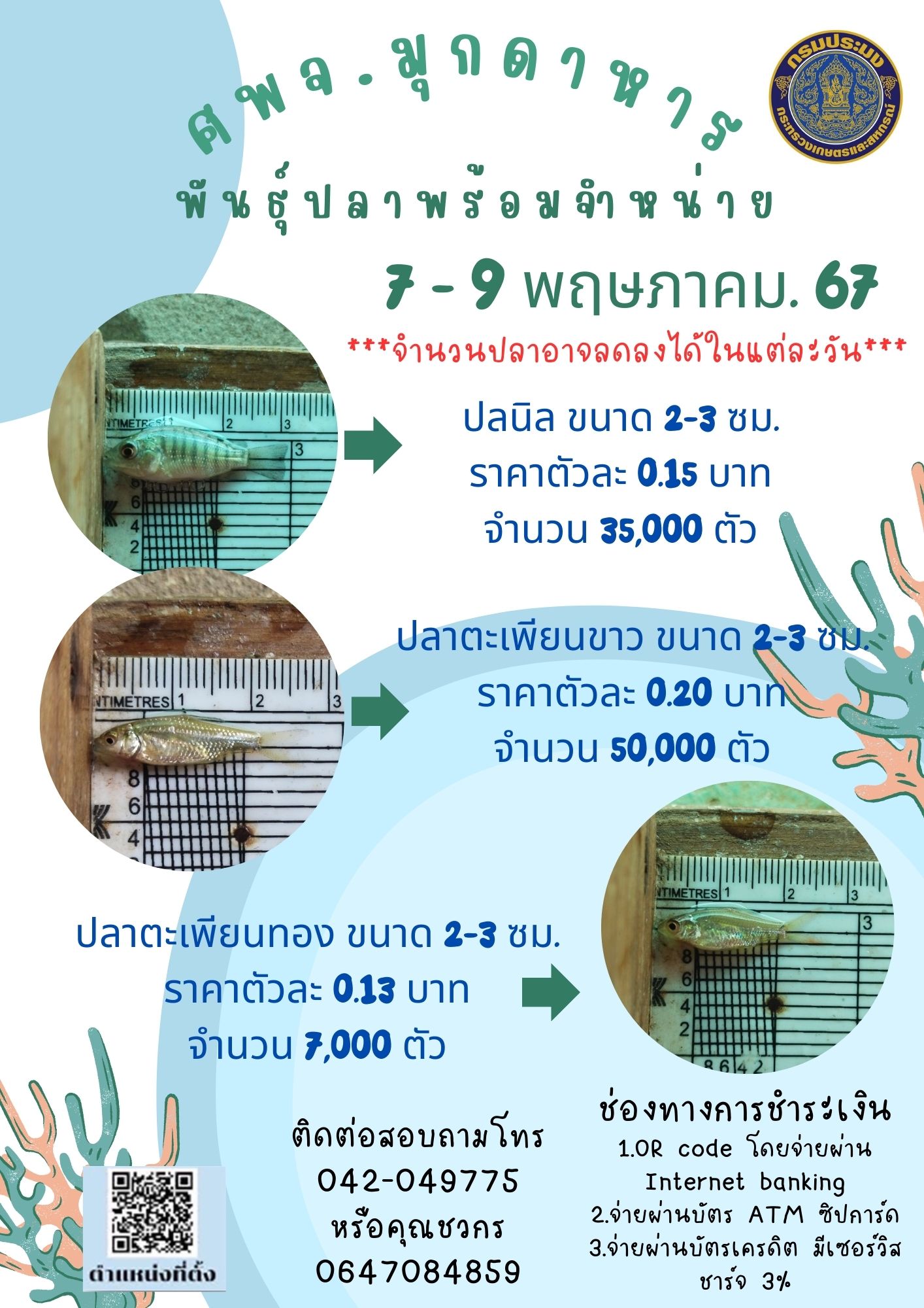 ลูกพันธุ์สัตว์น้ำพร้อมจำหน่าย 7-9 พฤษภาคม 2567..คลิก