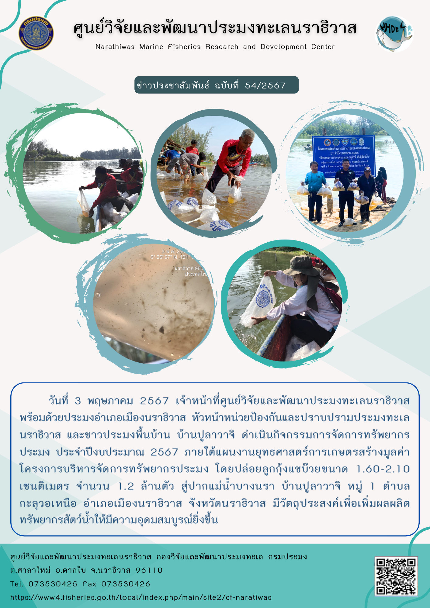 เจ้าหน้าที่ศูนย์วิจัยและพัฒนาประมงทะเลนราธิวาส พร้อมด้วยประมงอำเภอเมืองนราธิวาส หัวหน้าหน่วยป้องกันและปราบปรามประมงทะเลนราธิวาส และชาวประมงพื้นบ้าน บ้านปูลาวาจิ ดำเนินกิจกรรมการจัดการทรัพยากรประมง ประจำปีงบประมาณ 2567..คลิก