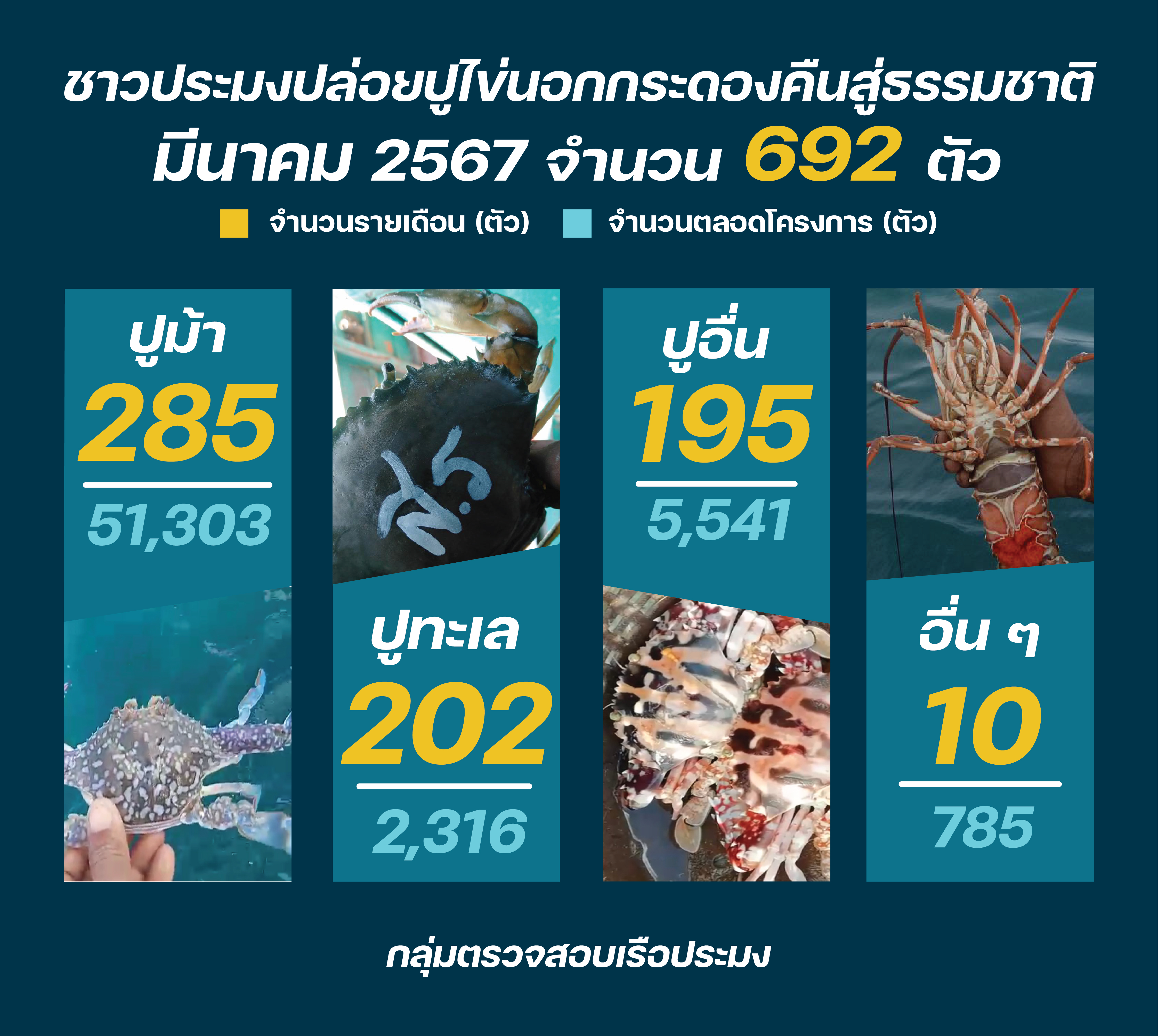 ชาวประมง ปล่อยปูไข่ มีนาคม 2567..คลิก