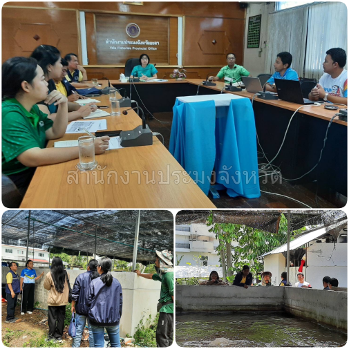 ผลการปฏิบัติงานประจำวันพุธ ที่ 8 พฤษภาคม 2567..คลิก
