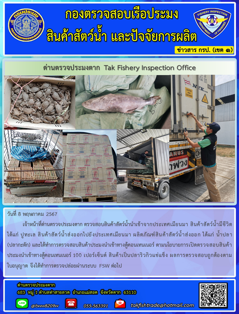 วันที่ 8 พฤษภาคม 2567           เจ้าหน้าที่ด่านตรวจประมงตาก ตรวจสอบสินค้าสัตว์น้ำนำเข้าจากประเทศเมียนมา สินค้าสัตว์น้ำมีชีวิต ได้แก่ ปูทะเล สินค้าสัตว์น้ำส่งออกไปยังประเทศเมียนมา ผลิตภัณฑ์สินค้าสัตว์น้ำส่งออก ได้แก่ น้ำปลา (ปลากะตัก) และได้ทำการตรวจสอบสินค้าประมงนำเข้าทางตู้คอนเทนเนอร์ ตามนโยบายการเปิดตรวจสอบสินค้าประมงนำเข้าทางตู้คอนเทนเนอร์ 100 เปอร์เซ็นต์ สินค้าเป็นปลาริวกิวแช่แข็ง ผลการตรวจสอบถูกต้องตามใบอนุญาต จึงได้ทำการตรวจปล่อยผ่านระบบ FSW ต่อไป..คลิก