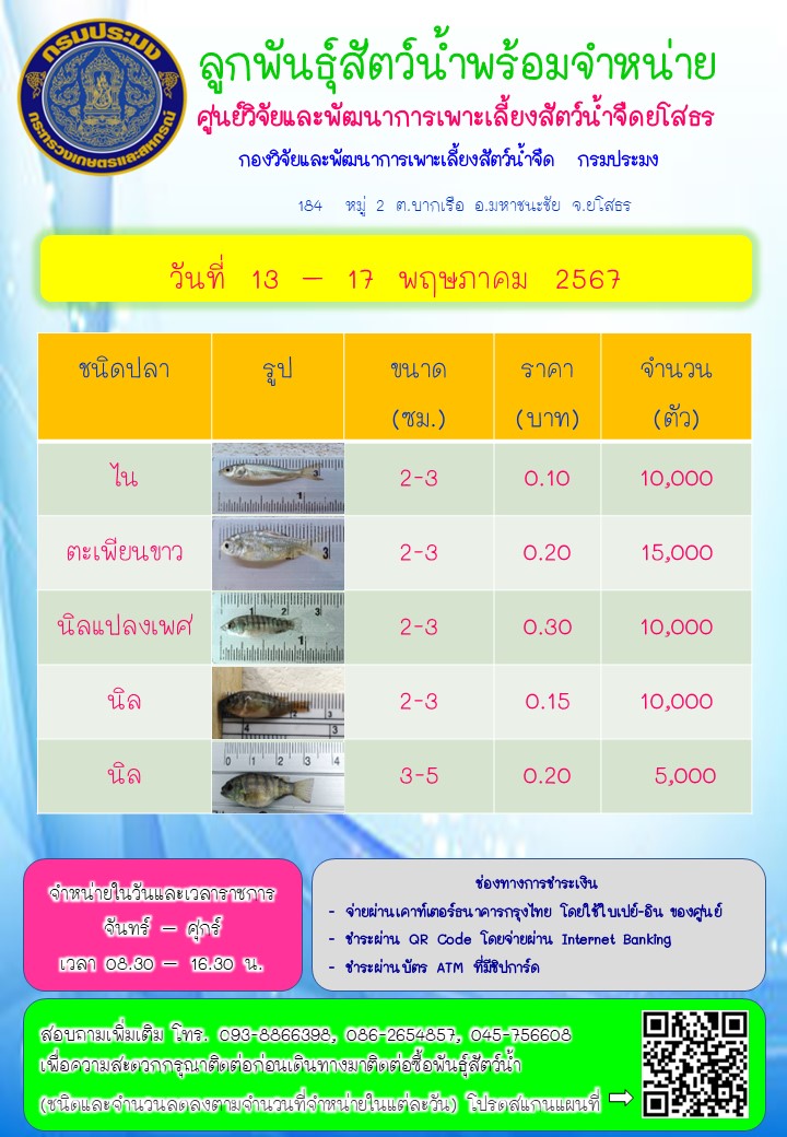 ลูกพันธุ์สัตว์น้ำพร้อมจำหน่าย 13 - 17 พ.ค. 2567