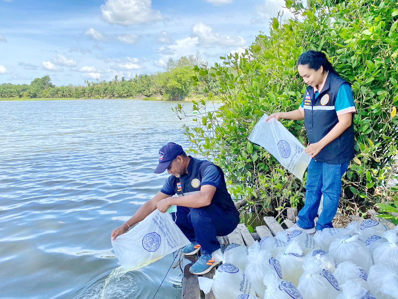 ร่วมปล่อยพันธุ์กุ้งก้ามกราม ลงสู่คลองสานแดง อ.ตะโหมด จ.พัทลุง..คลิก