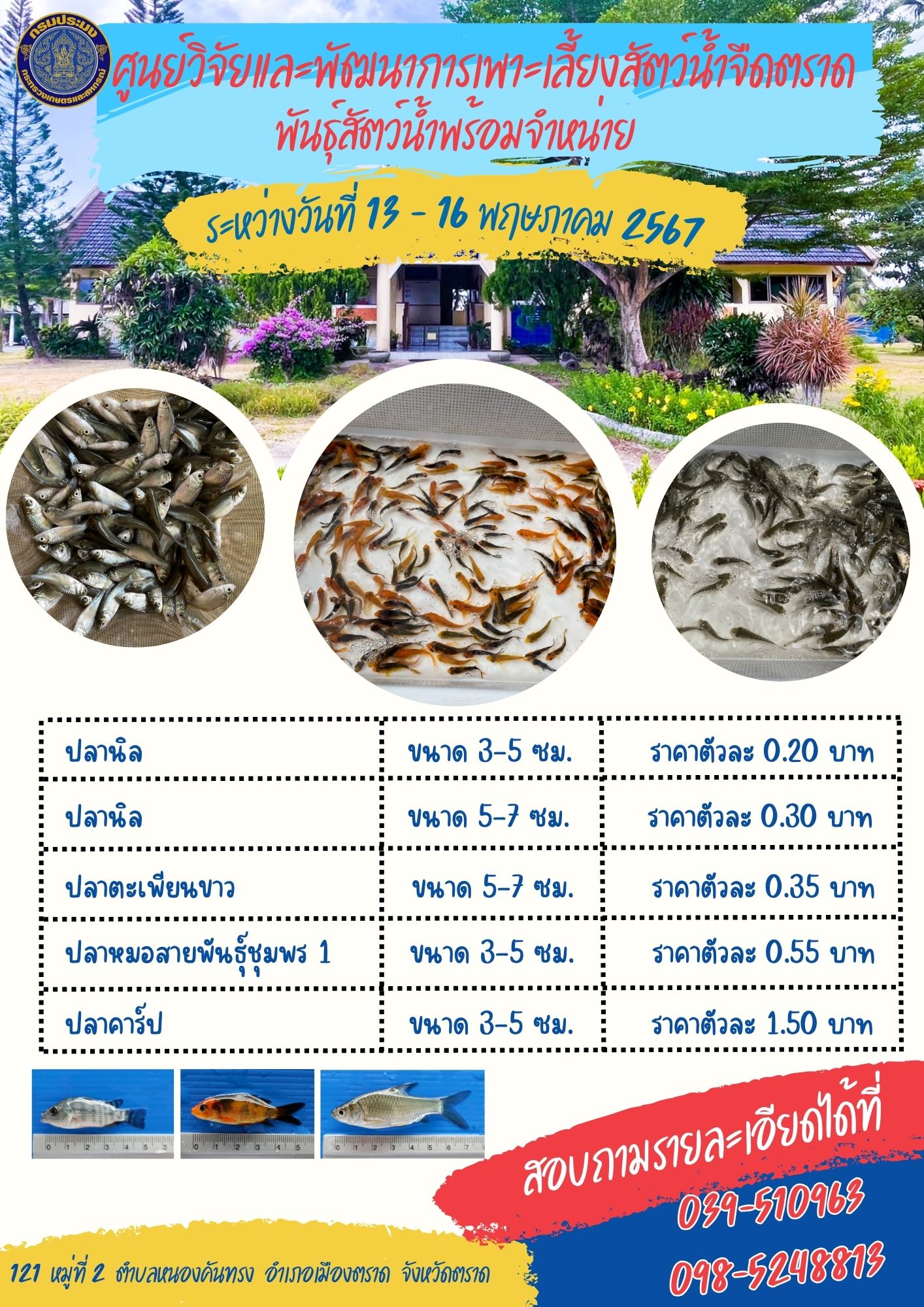 พันธุ์สัตว์น้ำพร้อมจำหน่าย