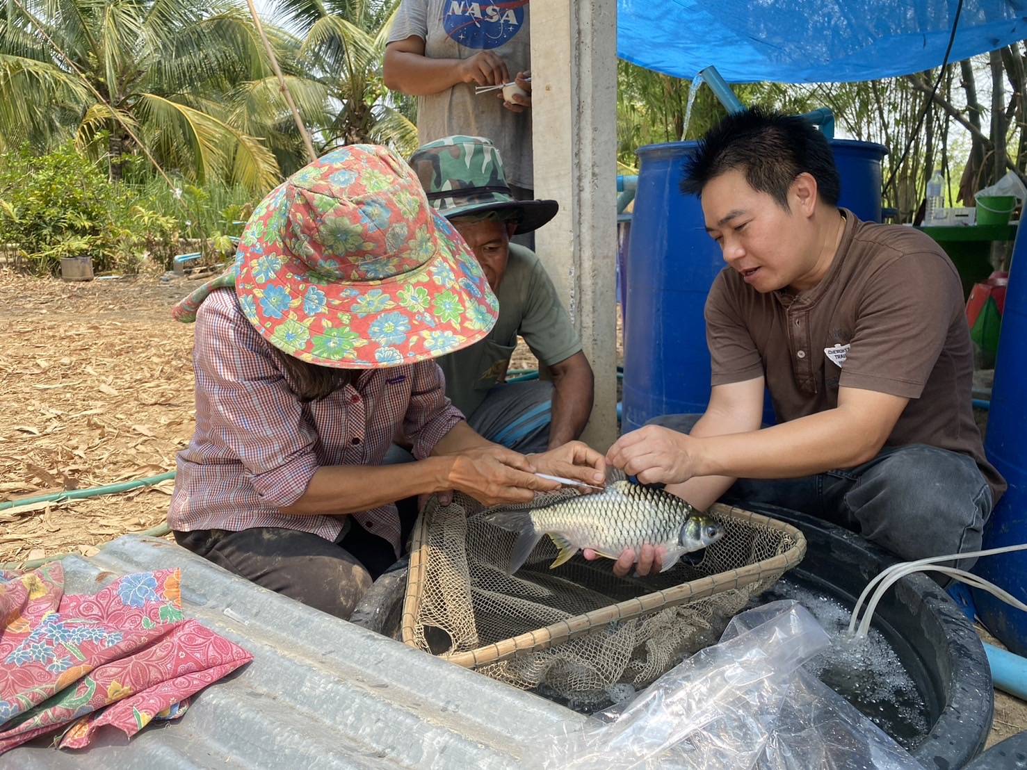ประมงอำเภอเมืองหนองบัวลำภู ให้ความรู้และฝึกปฎิบัติการเพาะพันธุ์ปลาตะเพียนขาวด้วยชุดเพาะปลาเคลื่อนที่ให้แก่เกษตรกรที่มีความสนใจ..คลิก