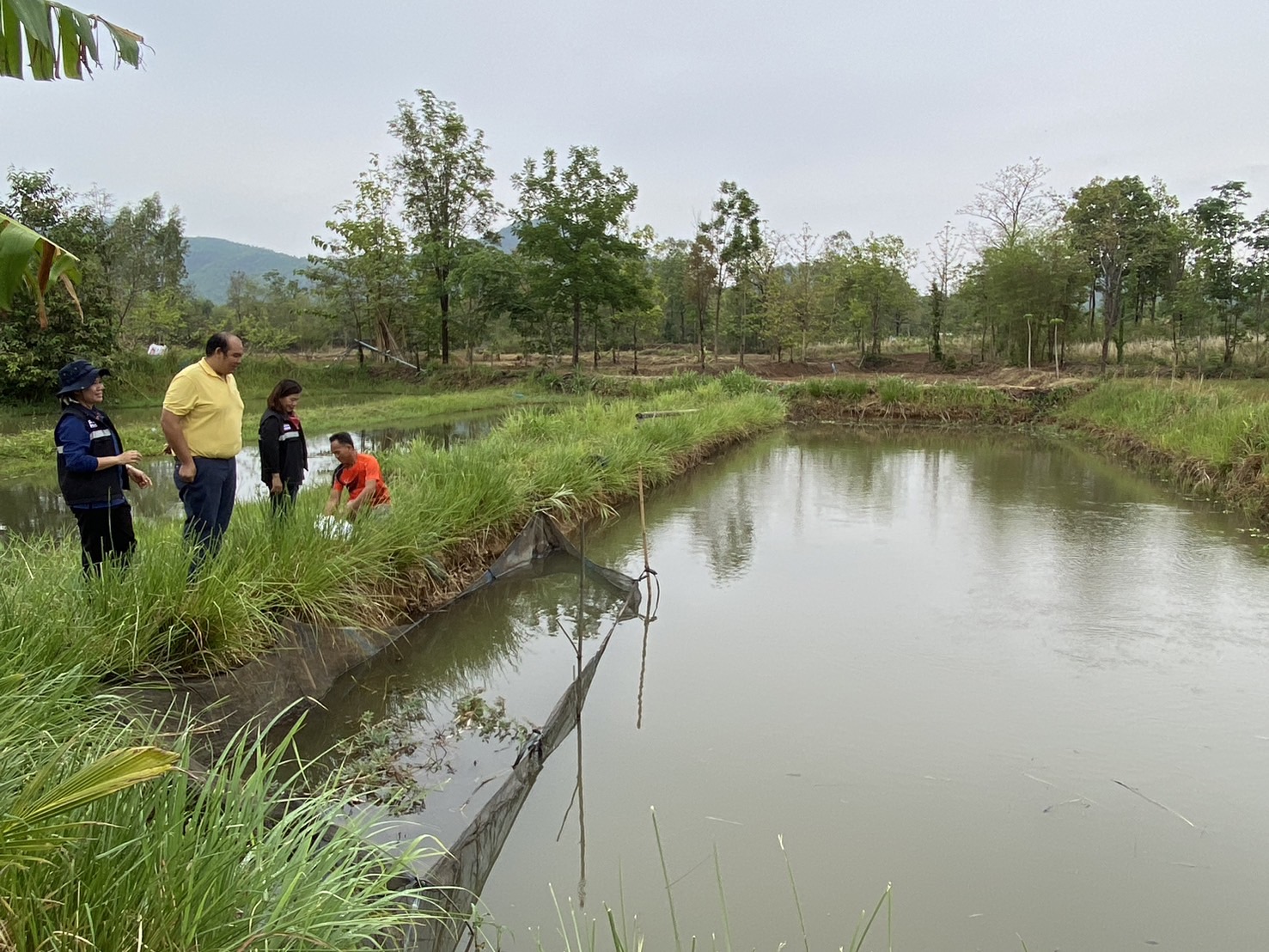 สำนักงานประมงจังหวัดหนองบัวลำภู ร่วมกับศูนย์วิจัยและพัฒนาการเพาะเลี้ยงสัตว์น้ำจืดอุดรธานี ร่วมมอบปัจจัยการผลิต ตามโครงการระบบส่งเสริมการเกษตรแบบแปลงใหญ่..คลิก