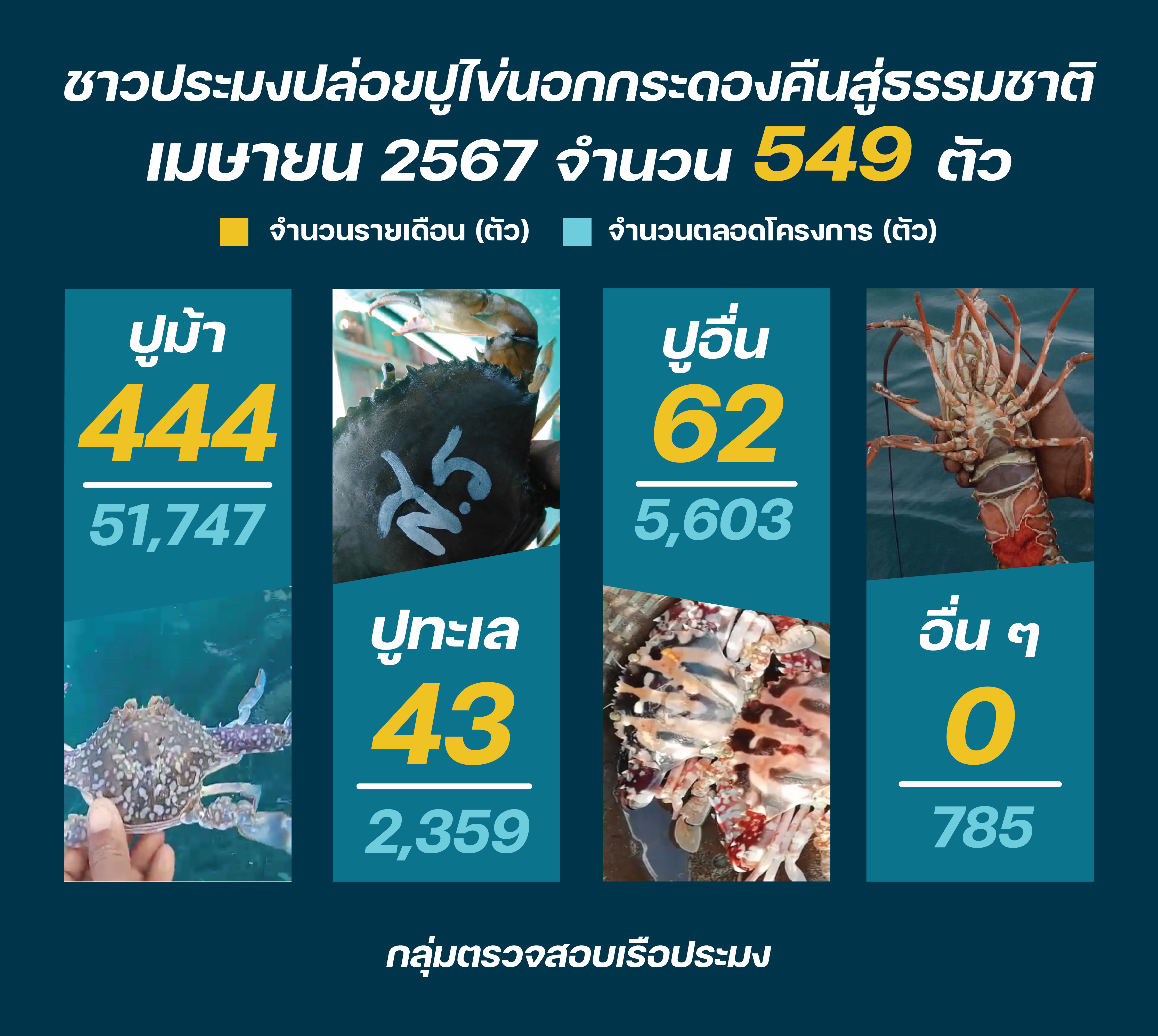 ชาวประมงปล่อยปูไข่ เมษายน 2567..คลิก