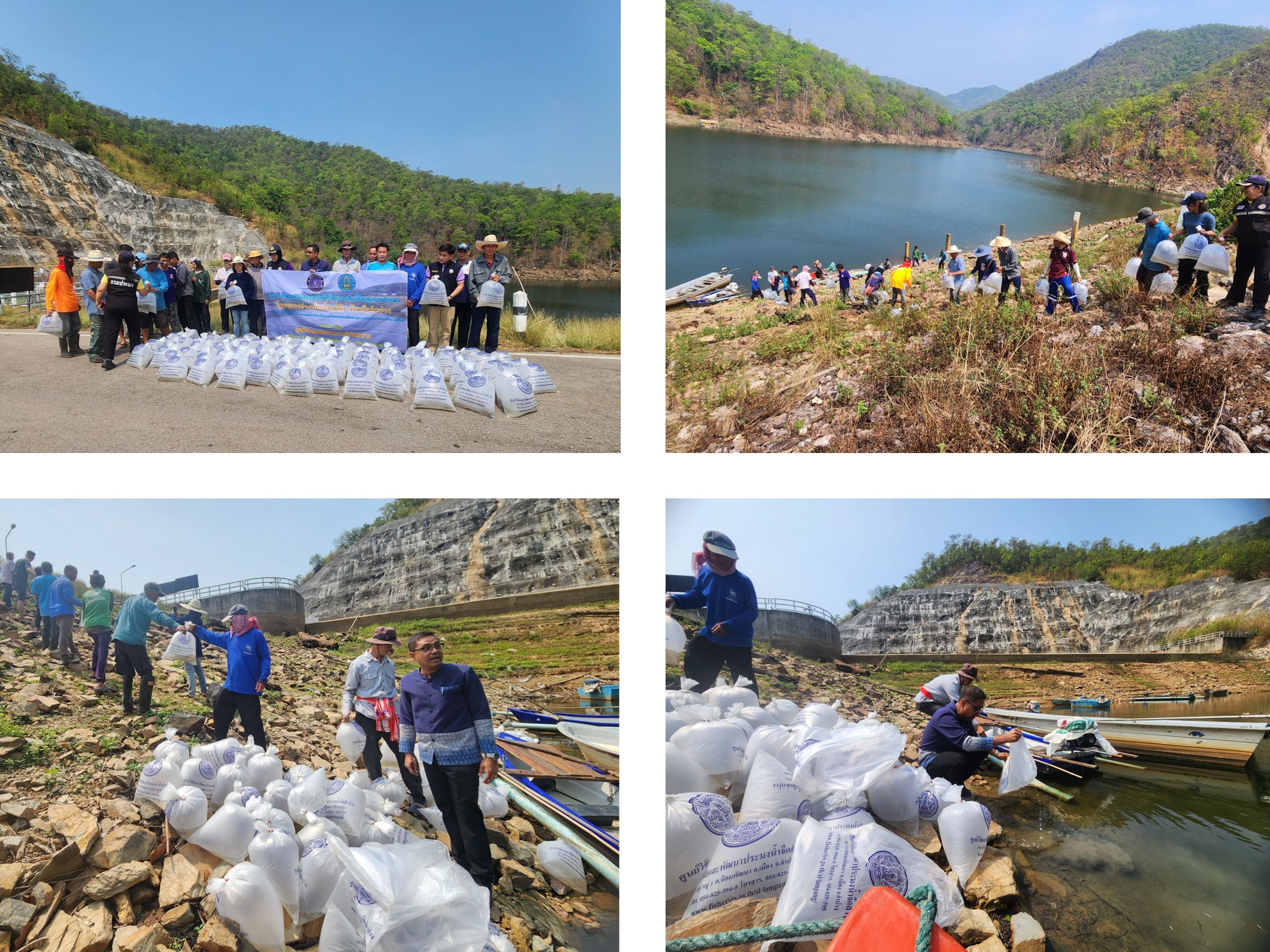 ปล่อยพันธุ์ปลาตะเพียนขาว จำนวน 100,000 ตัว ณ อ่างเก็บน้ำแม่นึงอันเนื่องมาจากพระราชดำริ จังหวัดลำปาง..คลิก