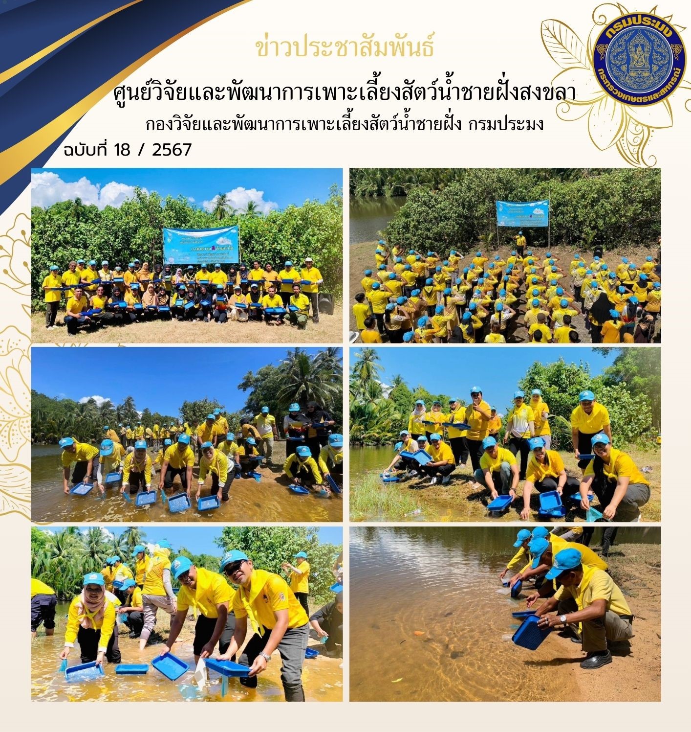 เมื่อวันที่ 9 พฤษภาคม 2567 นางสาวปริศนา คลิ้งสุขคล้าย ผู้อำนวยการศูนย์วิจัยและพัฒนาการเพาะเลี้ยงสัตว์น้ำชายฝั่งสงขลา มอบหมายให้นายอุกฤษฎ์ ชูสุวรรณ นักวิชาการประมงปฎิบัติการ ส่งมอบลูกพันธุ์ปูทะเล ให้แก่ สำนักงานประมงจังหวัดปัตตานี..คลิก